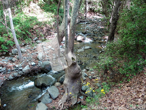 Image of See the stream. Platres. Cyprus