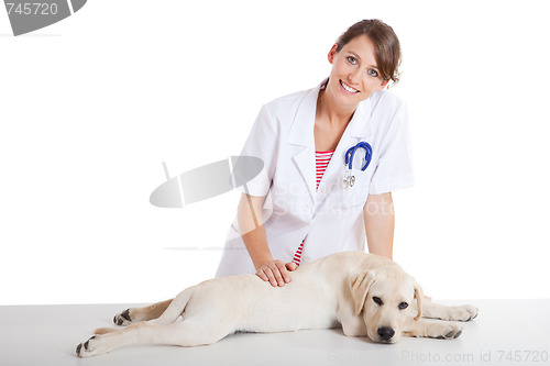 Image of Veterinay taking care of a dog