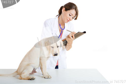 Image of Veterinay taking care of a dog