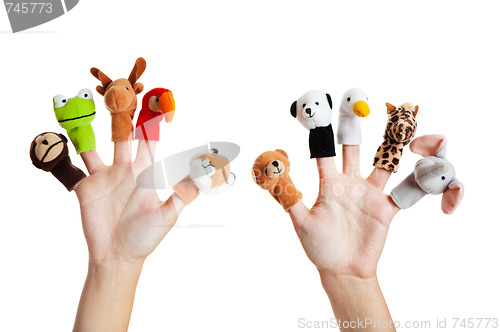 Image of Hand with animal puppets