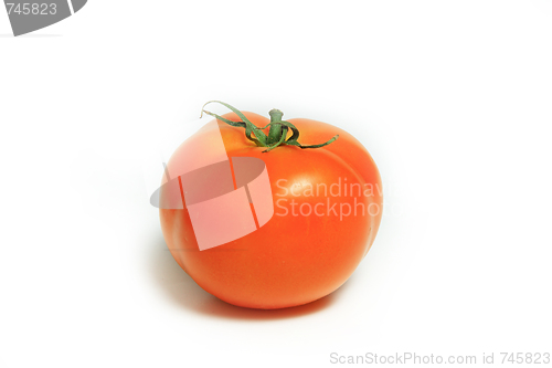 Image of The fresh red tomato 