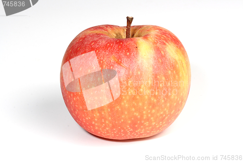 Image of Red apple