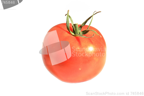 Image of The fresh red tomato 