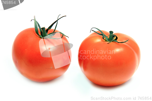 Image of The fresh red tomato 