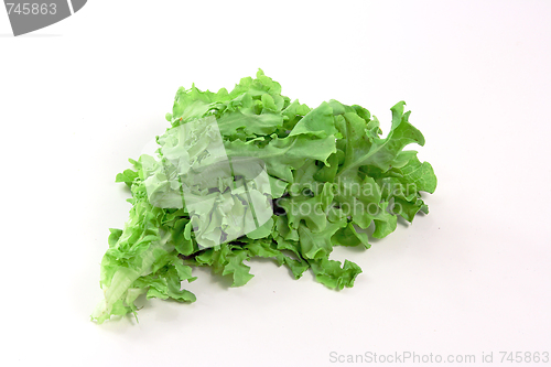 Image of The green spinach 