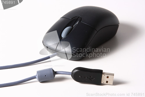 Image of The computer mouse