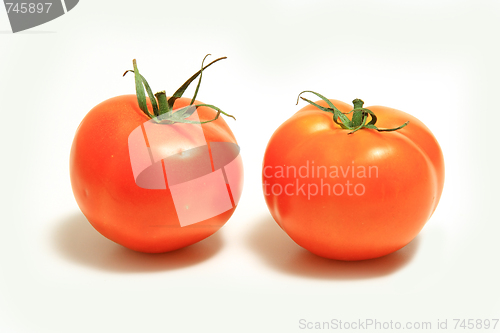 Image of The fresh red tomato 