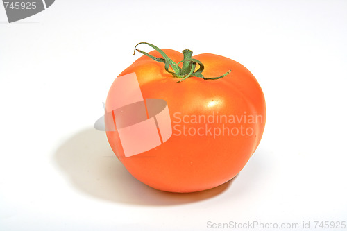 Image of The fresh red tomato 
