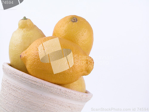 Image of lemons