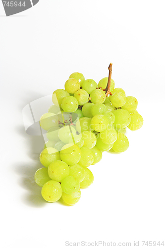 Image of The grape 