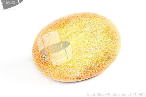 Image of Yellow melon 