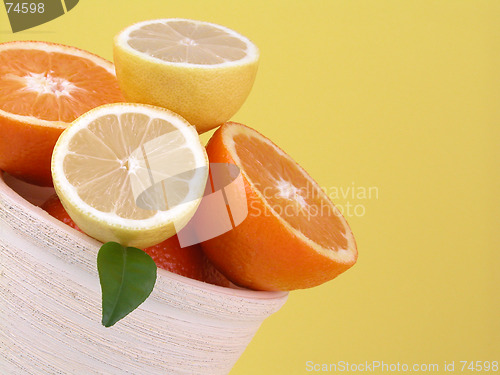 Image of oranges and lemons