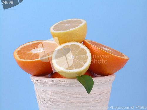 Image of oranges and lemons