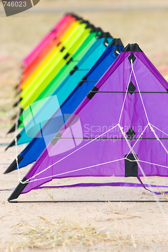 Image of Kites on the ground