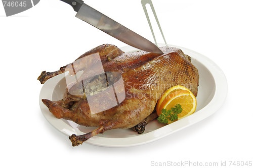 Image of Crunchy goose