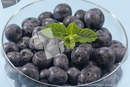 Image of Blueberries