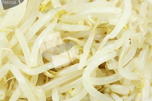 Image of Soy sprouts