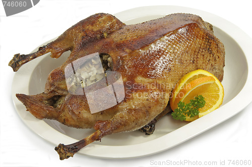 Image of Stuffed goose