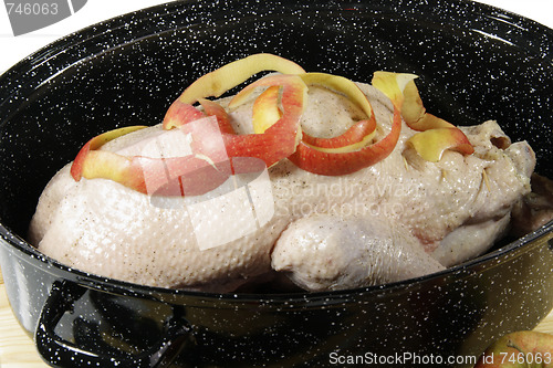 Image of Raw goose in a pot