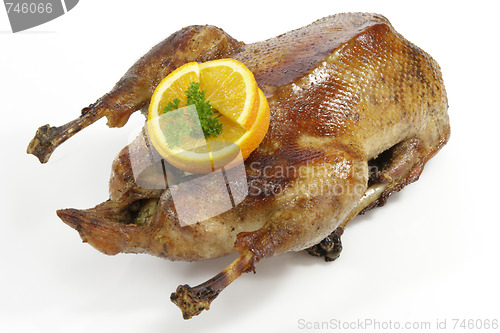 Image of Christmas goose