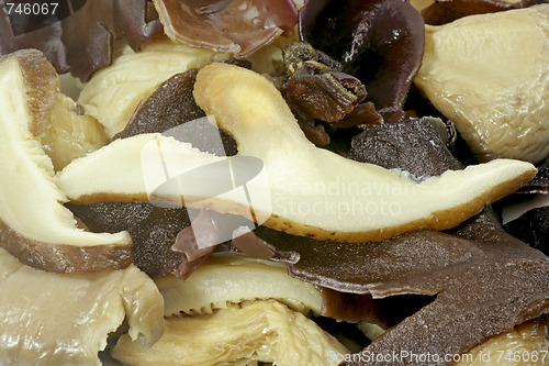 Image of Asian mushrooms