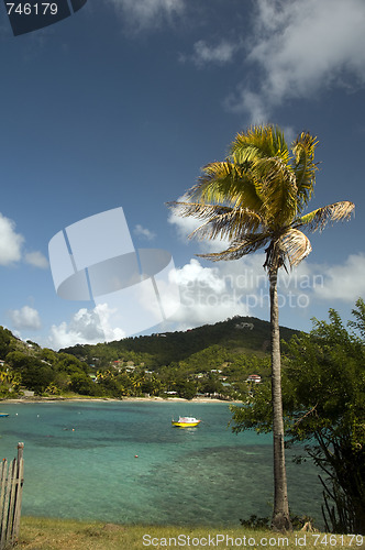 Image of coconut tree with native fishing boat friendship bay bequia st. 