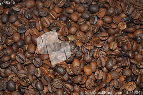 Image of Coffee Beans 