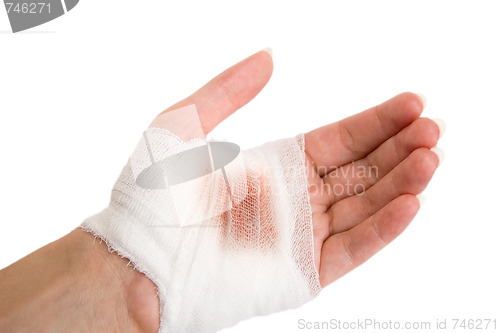 Image of Bandage