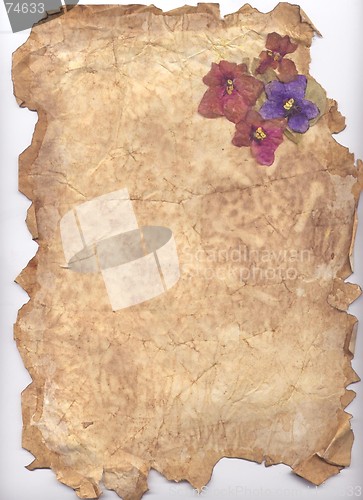 Image of Aged paper and violets