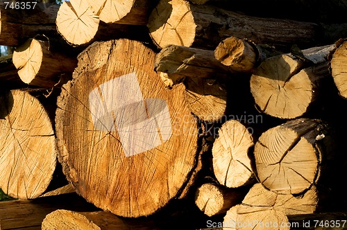 Image of Truncate wood