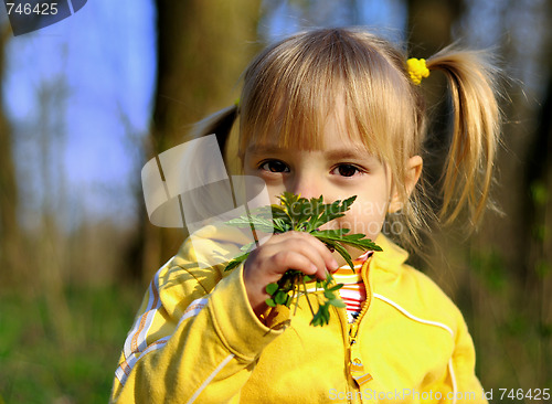 Image of Little girl and wild flowers