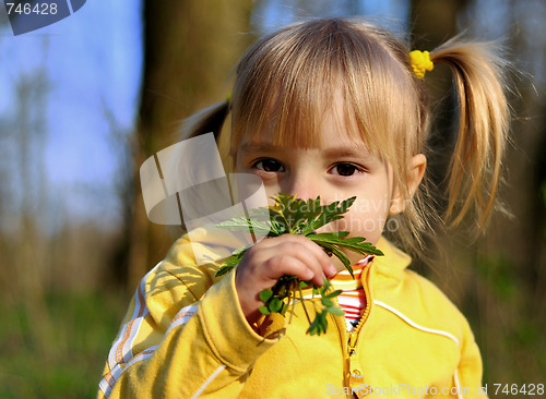Image of Little girl and wild flowers