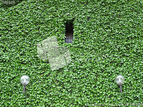 Image of Green facade