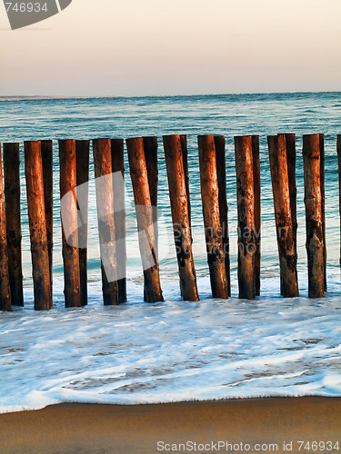 Image of Beach  shore