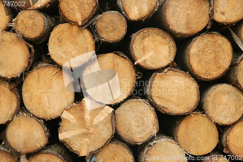 Image of pile of wood logs