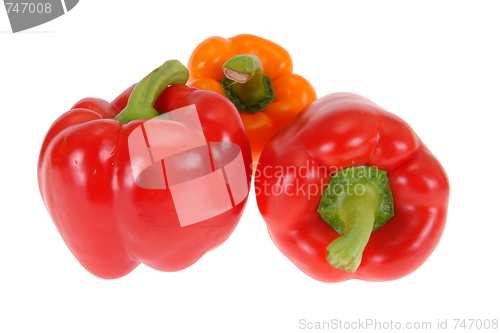 Image of  paprika