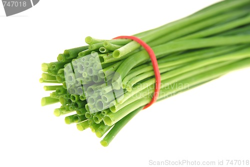 Image of Fresh green chive