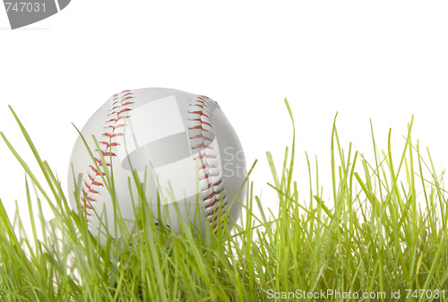 Image of Base ball in Grass