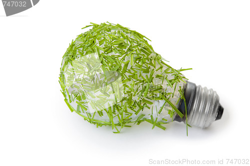 Image of Eco Lightbulb Concept
