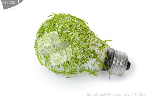 Image of Eco Lightbulb Concept