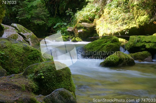 Image of Mountain stream