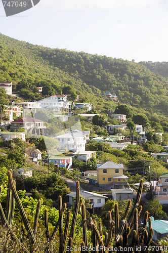 Image of residential neighborhood on mountain bequia st. vincent