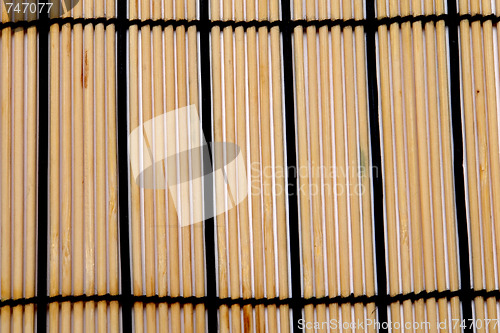 Image of bamboo background