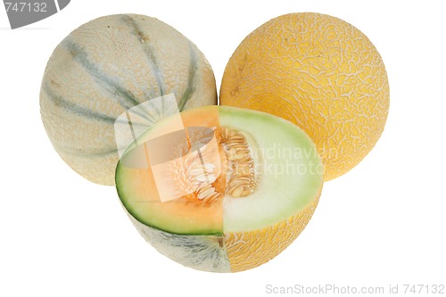 Image of Melon