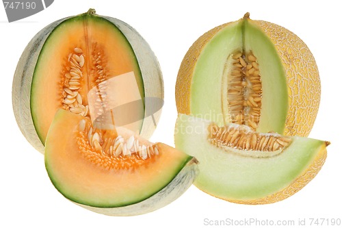 Image of Melon