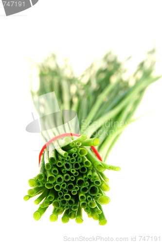 Image of Fresh green chive