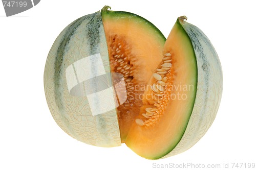 Image of Melon