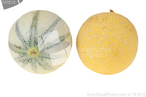 Image of Melon