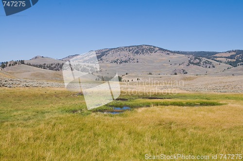 Image of Colorful meadow