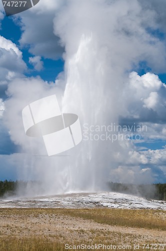 Image of Old Faithful